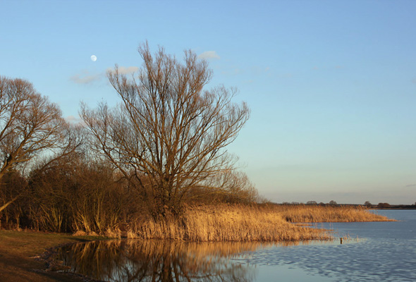 Mondaufgang über dem Hohennauener See